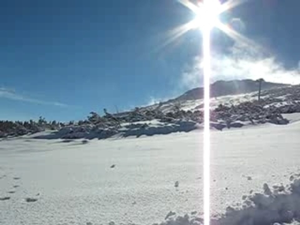 Vitosha Fun