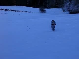 27 11 05 Cota bois CMEVtt