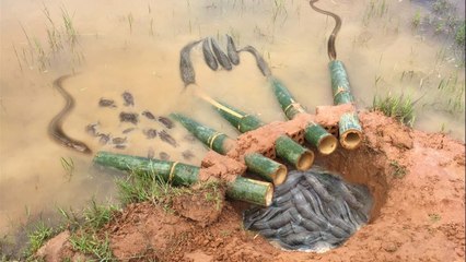The first Trap Can Catch Alot of fish & Crabs And Eels By 5 Bambo With deep Hole