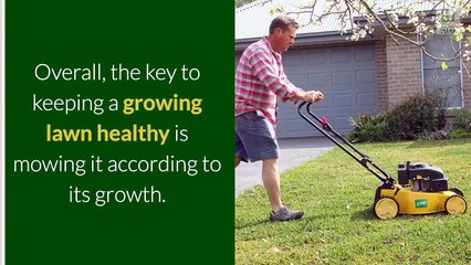 What Happens When You Mow  Your Lawn Too Often