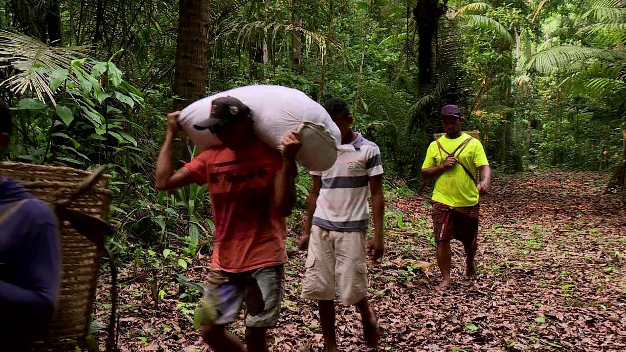 Bauern und Fischer als Umweltschützer im Amazonas-Gebiet