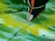 amv dbz guerrier sangoku