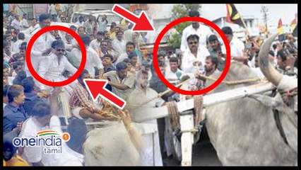 மாட்டு வண்டியில் கிளம்பிய விஜயகாந்த்!- வீடியோ