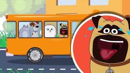 Secret Life Of Pets Wheels on The Bus go Round and Round and More