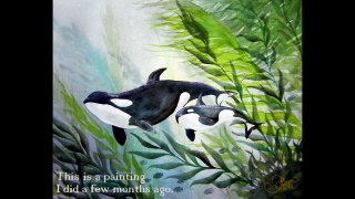 How to draw a basic Orca whale
