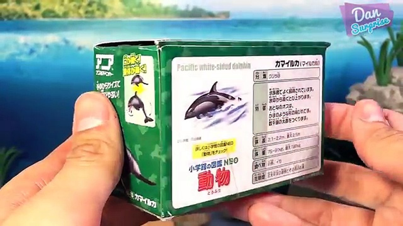 10 AMAZING MARINE SEA ANIMALS for kids Takara Tomy - Great White Shark Penguin Sea Otter