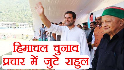 Himachal Assembly Elections के प्रचार में जुटे Rahul Gandhi । वनइंडिया हिंदी