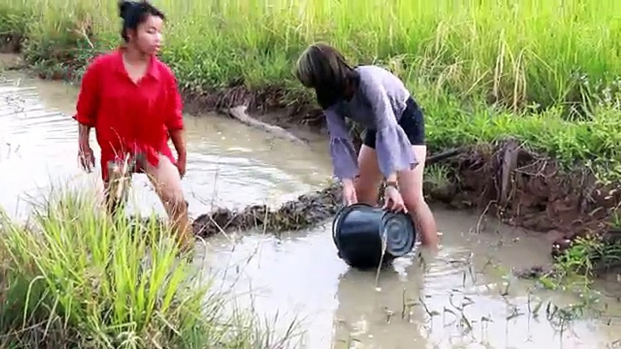 Two Sister catch Fish - beautiful girl Fishing in Cambodia - How to Fishing - ( part 122)