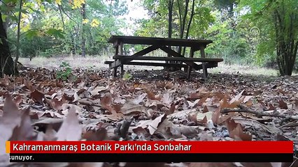 Kahramanmaraş Botanik Parkı'nda Sonbahar