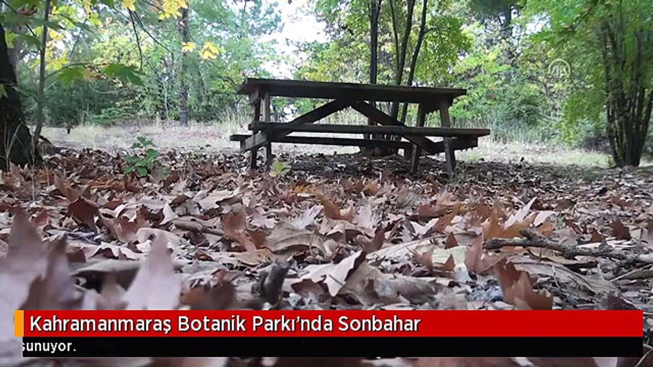 Kahramanmaraş Botanik Parkı'nda Sonbahar