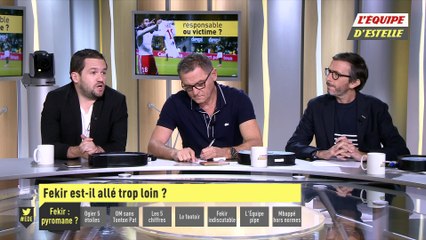 Foot - L'Equipe d'Estelle : «En aucun cas, ce qu'il a fait méritait l'envahissement»