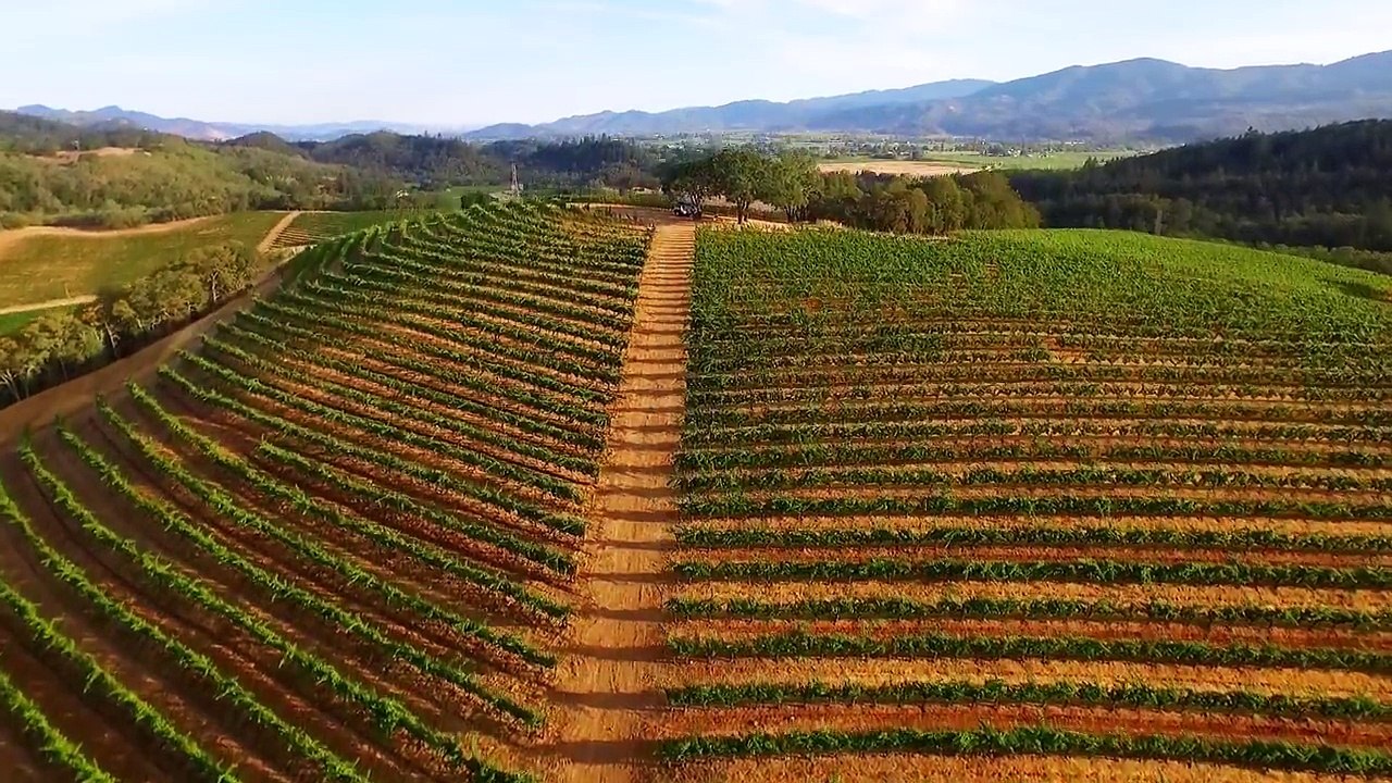 Buy Delicious Wine Online from Joseph Phelps Vineyards