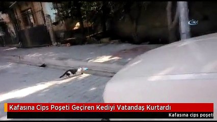 Kafasına Cips Poşeti Geçiren Kediyi Vatandaş Kurtardı