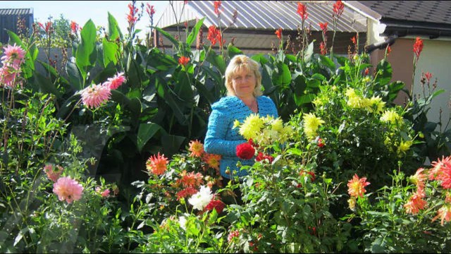 СОЛЬ!!! Для обработки растений. Дедовские способы