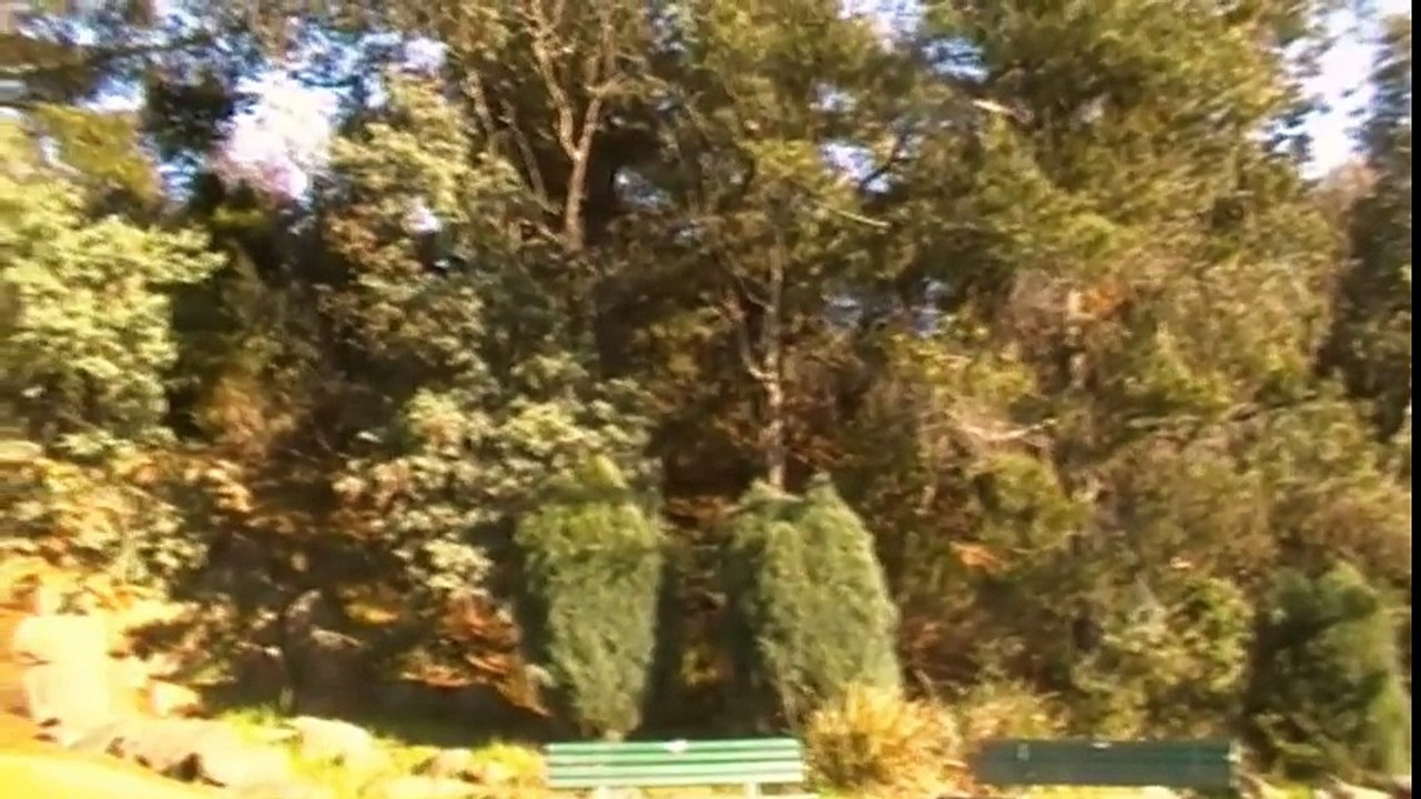 KING KONG's DING DONG