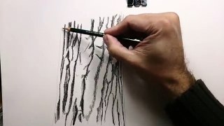 How To Draw a Realistic Tree With Pencil: How to Draw Textures with Pencil Techniques #howtodraw