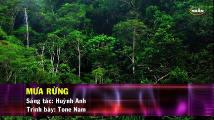 Mưa Rừng (Karaoke Beat) - Tone Nam