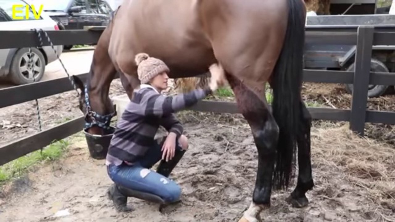 A Girl and A Horse Amazing videos