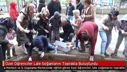 Özel Öğrenciler Lale Soğanlarını Toprakla Buluşturdu