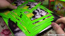 Amici Cucciolotti 2017 MAXI pacco - Versione Album con CD e 20 Pacchi di figurine
