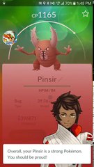 Pokémon GO NEW 10k Eggs x 11 hatching & 50 more egg Hatchings