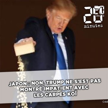 Japon: Non, Trump ne s'est pas montré impatient avec les carpes Koï