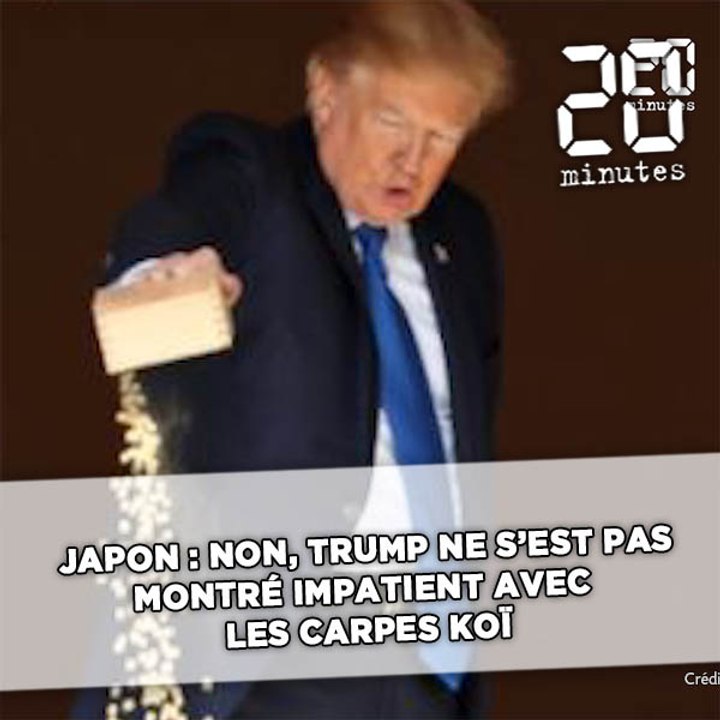 Japon: Non, Trump ne s'est pas montré impatient avec les carpes Koï