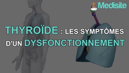 Thyroïde : reconnaître les symptômes d'un dysfonctionnement