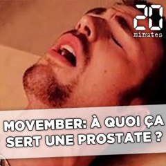 Movember: Ça sert à quoi, une prostate ?