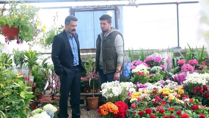 Aşk ve Mavi 24.Bölüm Fotoğraf Galerisi