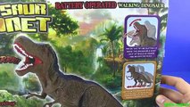 Dinosaurs Jurassic World & Dinosaur Toys VELOCIRAPTOR VS TYRANNOSAURUS REX !!! Toys for kids
