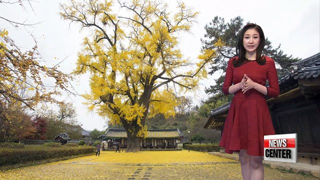 Rain from the south expected to expand nationwide by night _ 110617