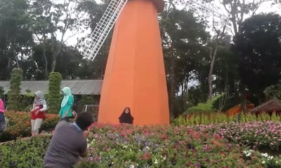 Taman Bunga Hadir di Candi Gedong Songo