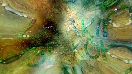 Kardeş Payı 3.Bölüm (Bipsiz Versiyon)