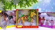 2016 Holiday Barbie Collection, Breyer Woodland Splendor & 2 Breyer Spirit of the Horse!