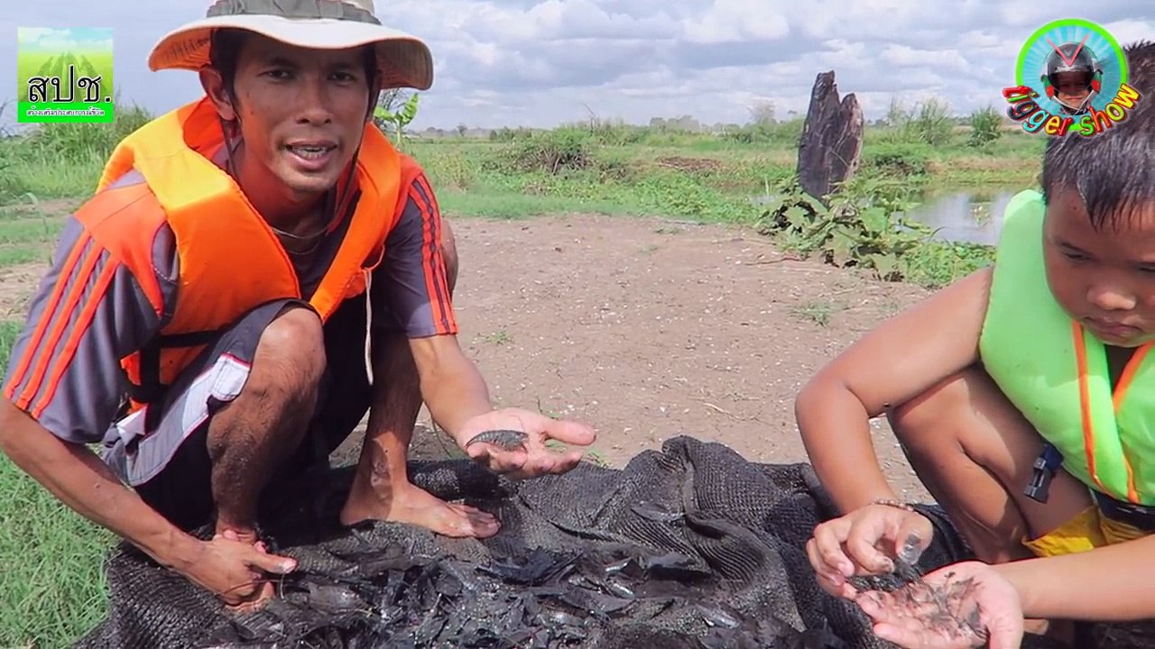 ทิกเกอร์จอมป่วน จับกุ้งก้ามแดง ( Tigger show EP.015 )