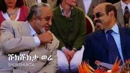 Ethiopian News: Mesay Mekonnen Speaks on Alamudi's Detention 📰