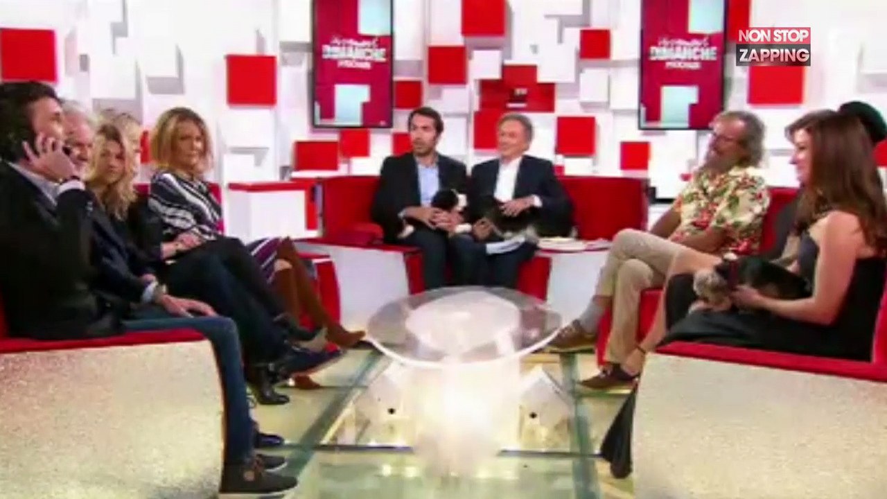 Vivement dimanche : Une blague sur Brigitte Macron crée le malaise (vidéo)