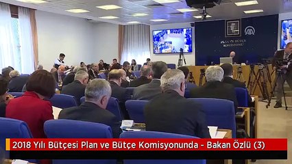 2018 Yılı Bütçesi Plan ve Bütçe Komisyonunda - Bakan Özlü (3)