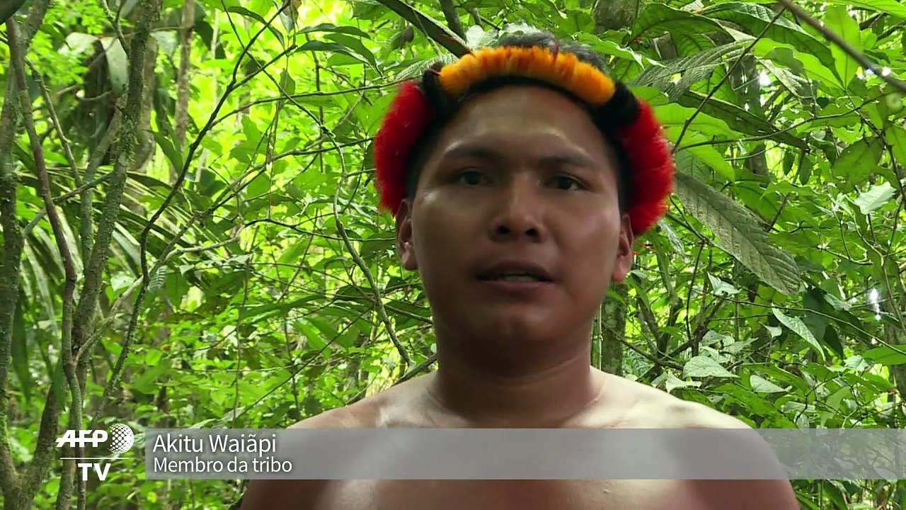Para tribo da Amazônia, a floresta é o mundo inteiro
