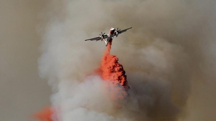 Rekordhitze: 2017 eines der wärmsten Jahre überhaupt