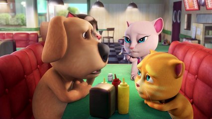 Talking Tom and Friends - The Contest (Season 1 Episode 24)