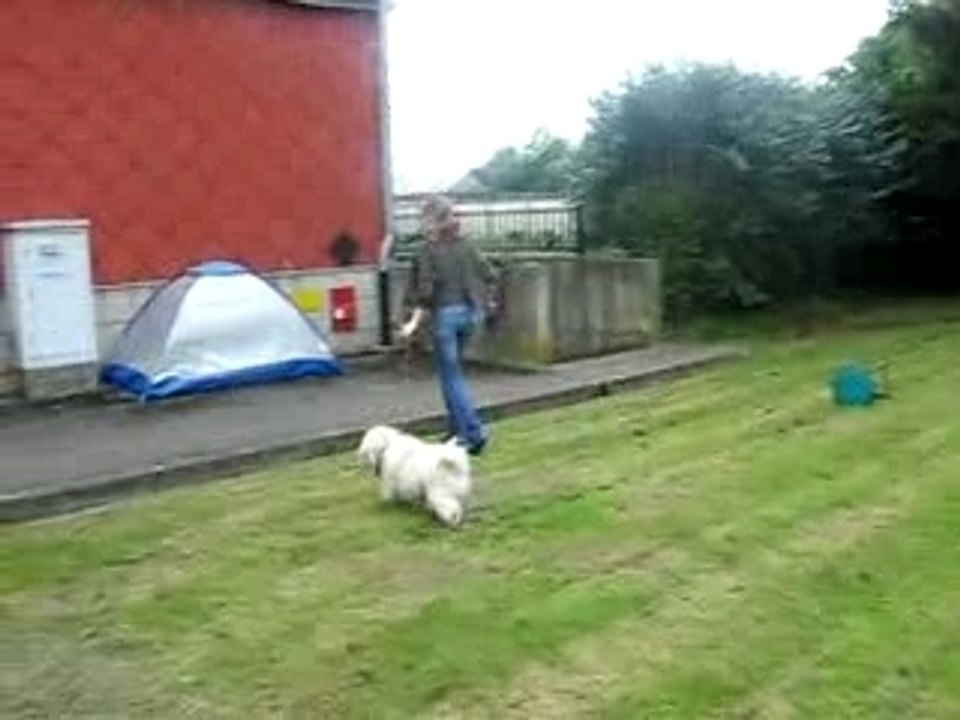 Mon doudou un vrai cheval^^