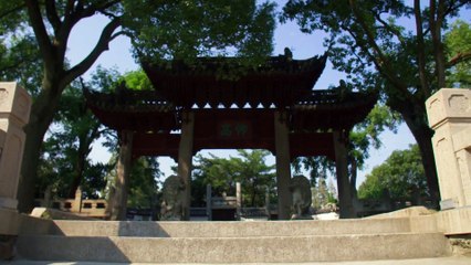 Porsche - First rows