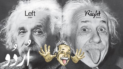 Everything About Einstein in Urdu and Simplified | My Channel Video | Goher Ali Rizvi