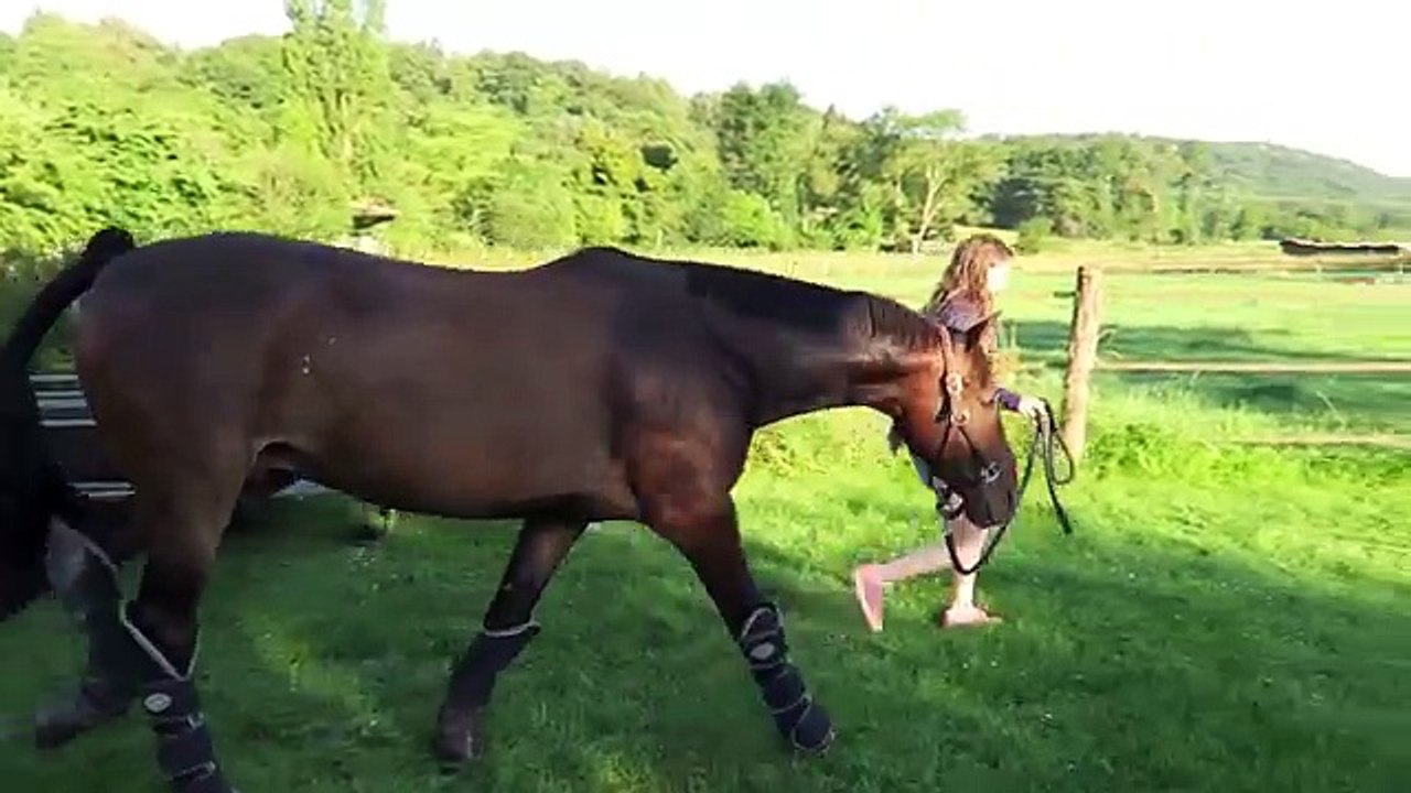 ~ Lamotte 2016, Club1 Jeune Senior (GENERALI Open de France) ~