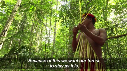 For Amazon tribe, rainforest provides everything they need