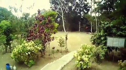 Melihat Paku Bumi Tanah Jawa Di Puncak Tidar Magelang