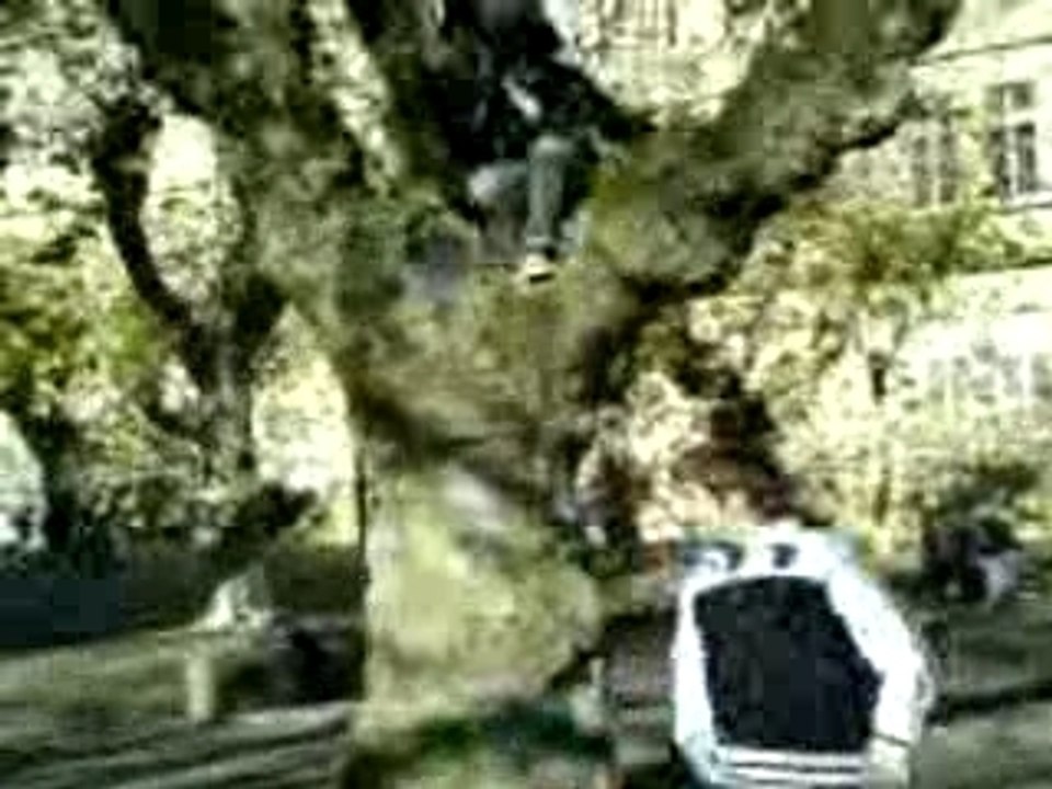 Jane montant dans les arbres