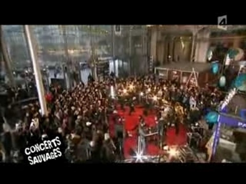 Les Tetes Raides - Live a la gare du Nord-5